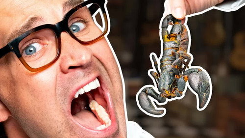 Who Has To Eat The Scorpion? (Game) still