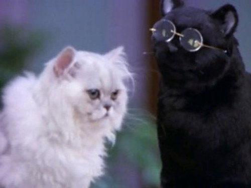 Sabrina, the Teenage Witch Season 4 Episode 11 - Salem and Juliette
