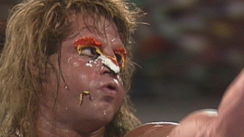 WWE's Greatest Moments Season 1 Episode 2 - Royal Rumble:  80's & 90's