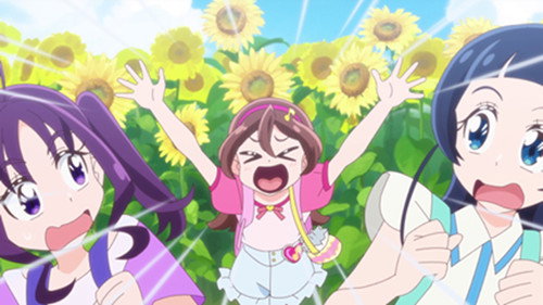 Wink in a Field of Sunflowers still