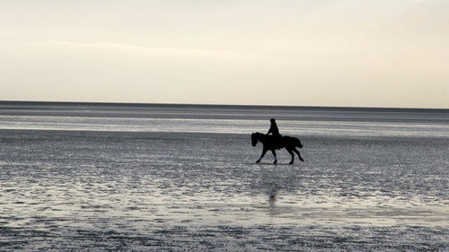 The Great British Winter Season 1 Episode 4 - Estuaries