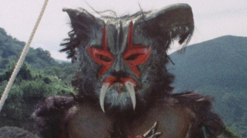 Mysterious Temple: Curse of the Musasabi Clan still