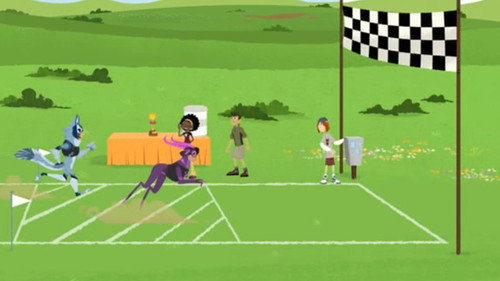 Wild Kratts Season 3 Episode 8 - The Amazing Creature Race