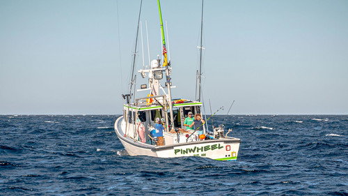 Wicked Tuna Season 10 Episode 14 - Real Heroes