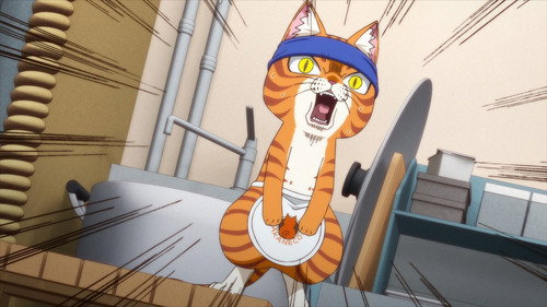 Ramen Akaneko Season 1 Episode 7 - 7th Serving: "Tough Love" "Today's Reflection" "Ambition and Animals"