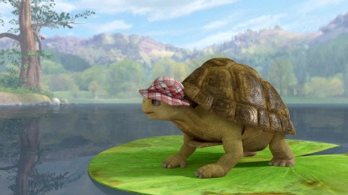 The Tale of the Great Tortoise Rescue still
