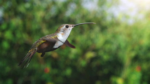 Mamas Season 1 Episode 6 - Hummingbird