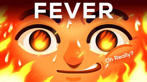 Kurzgesagt - In a Nutshell Season 12 Episode 11 - Fever Feels Horrible, but is Actually Awesome!