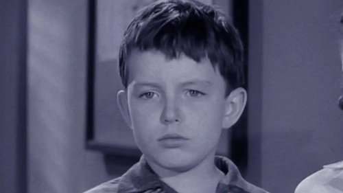 Leave It to Beaver Season 2 Episode 7 - Beaver's Ring