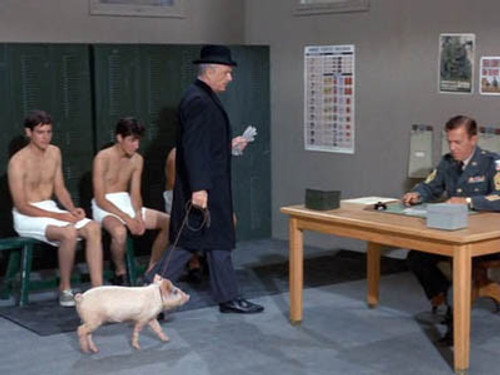 Green Acres Season 2 Episode 3 - I Didn't Raise My Pig to Be a Soldier
