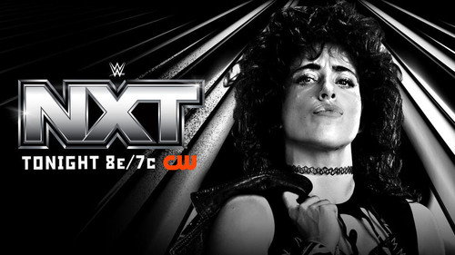 WWE NXT Season 20 Episode 17 - April 28, 2026