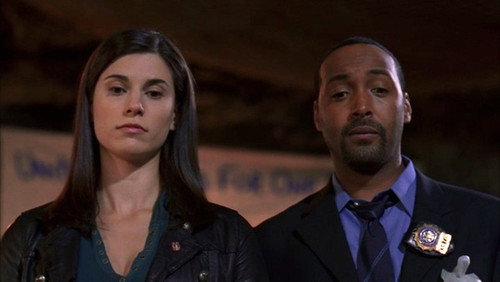 Law & Order Season 17 Episode 4 - Fear America