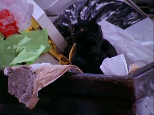 Sabrina, the Teenage Witch Season 1 Episode 11 - A Girl and Her Cat