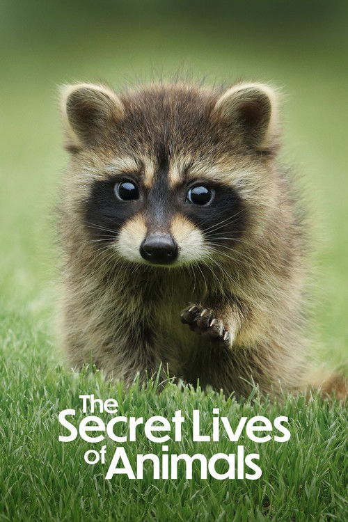 The Secret Lives of Animals poster