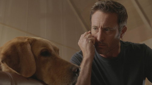 Hawaii Five-0 Season 10 Episode 14 - I hoʻolulu, hoʻohulei ʻia e ka makani (There Was a Lull, and Then the Wind Began to Blow About)