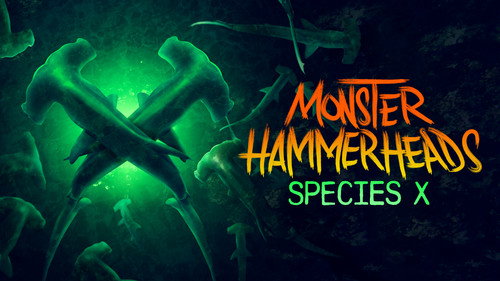 Shark Week Season 37 Episode 10 - Monster Hammerheads: Species X