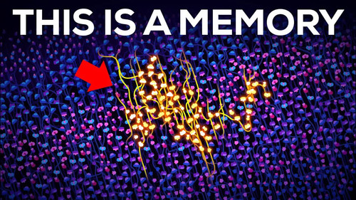 Kurzgesagt - In a Nutshell Season 14 Episode 9 - How Is a Memory Stored Inside Your Squishy Brain?