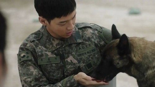 Search Season 1 Episode 9 - Episode 9