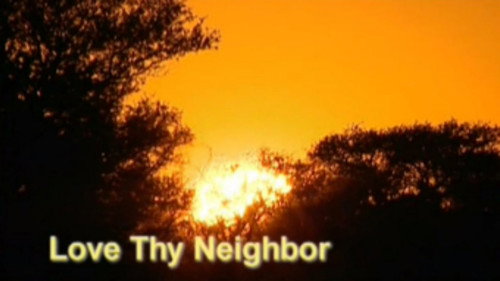 Meerkat Manor Season 1 Episode 2 - Love Thy Neighbor