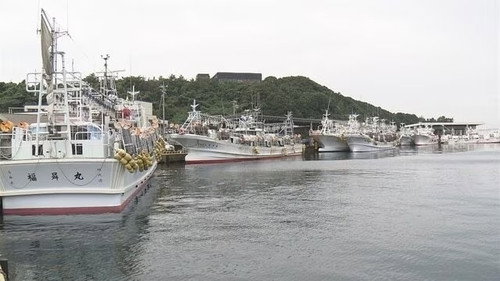 Life on the Squid Hunt still