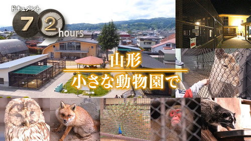 Document 72 Hours Season 16 Episode 19 - Yamagata At a small zoo