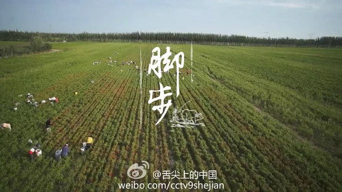 A Bite of China Season 2 Episode 2 - Footsteps