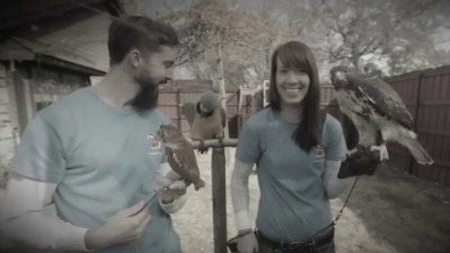 Tiny House Nation Season 2 Episode 6 - 192 Sq. Ft. Bird House