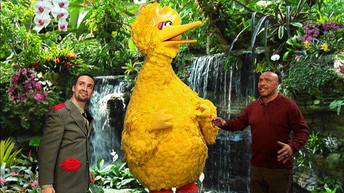 Sesame Street Season 47 Episode 29 - Big Bird’s Big Move