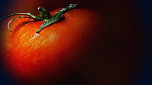 What's on Your Supermarket Shelves? The Dark Side of the Tomato Trade still