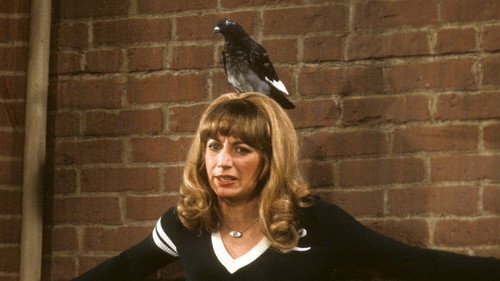Laverne & Shirley Season 6 Episode 10 - Love Out the Window