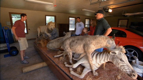 Shipping Wars Season 3 Episode 2 - Safari So Good