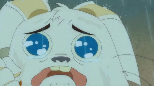 When Rekkit Joined the Circus still