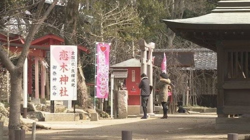 Document 72 Hours Season 7 Episode 8 - Valentine's Day at the Shrine