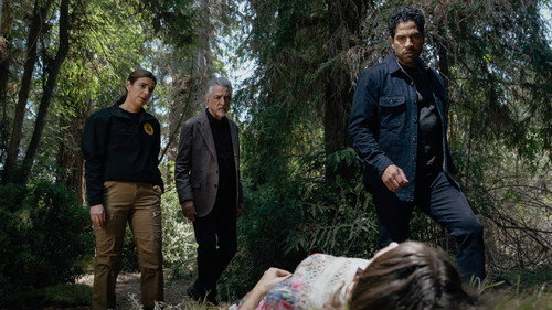Criminal Minds Season 19 Episode 8 - Requiem for a Dream
