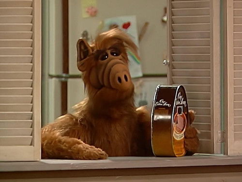 ALF Season 1 Episode 15 - I've Got a New Attitude