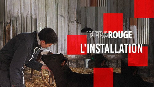 Infrarouge Season 16 Episode 8 - Episode 8