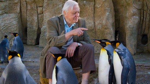 David Attenborough's Natural Curiosities Season 2 Episode 7 - Life on Ice