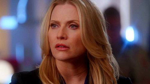 CSI: Miami Season 10 Episode 12 - Friendly Fire