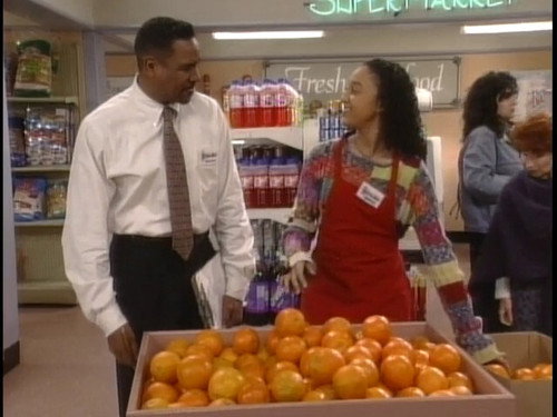 Sister, Sister Season 3 Episode 17 - Paper or Plastic?