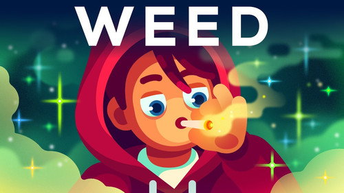 Kurzgesagt - In a Nutshell Season 12 Episode 20 - We Have To Talk About Weed