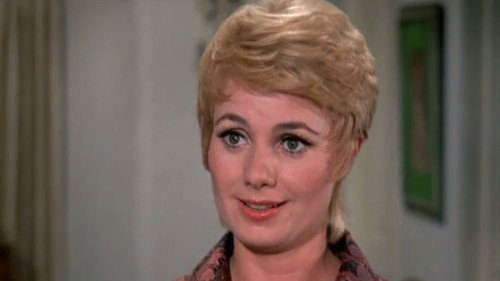 The Partridge Family Season 3 Episode 8 - A Likely Candidate