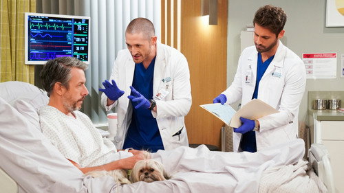 Carol's Second Act Season 1 Episode 9 - Therapy Dogs