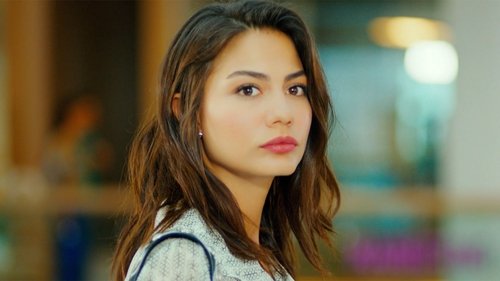 Erkenci Kuş Season 1 Episode 1 - Episode 1
