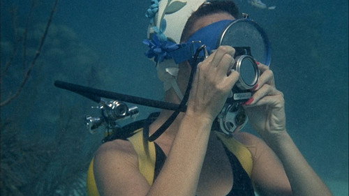 Flipper Season 1 Episode 13 - Lady and the Dolphin (2)