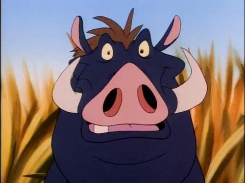 Timon and Pumbaa Season 4 Episode 14 - Sense and Senegambia