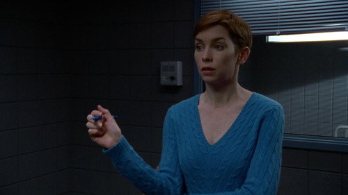 Law & Order: Criminal Intent Season 7 Episode 14 - Assassin