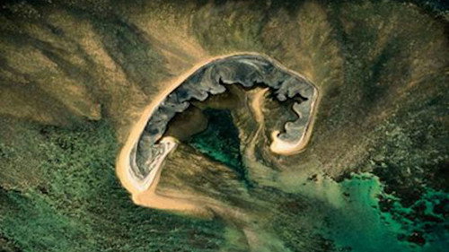 Earth from Above Season 2 Episode 4 - The Forest