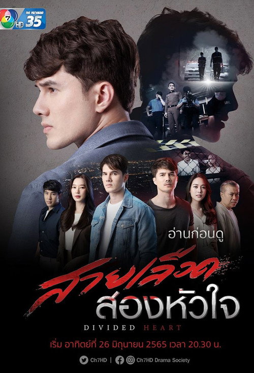 Divided Heart poster