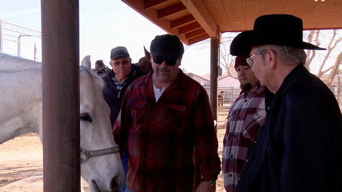 Saddle Up still