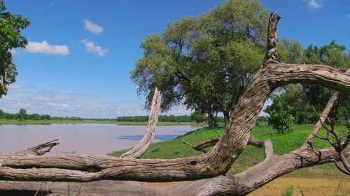 Africa River Wild Season 1 Episode 1 - Luangwa River